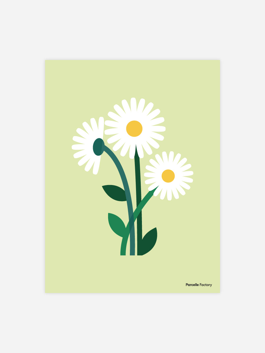 Affiche - Fleurs